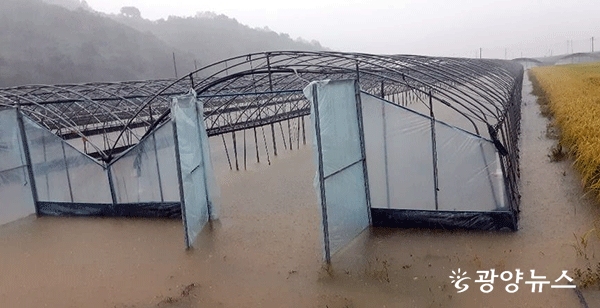 지난해 10월 태풍‘콩레이’로 인해 진월면 오사지구 양상추 비닐하우스가 침수 피해를 입었다.