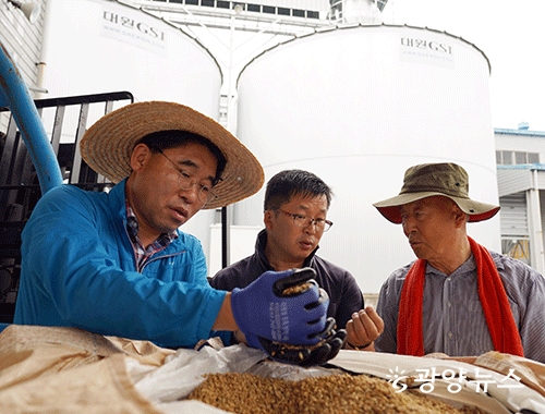 광양농협이 추석 햅쌀을 출하했다. 광양농협 허순구 조합장이 올해 처음으로 수매한 벼를 만져보고 있다.